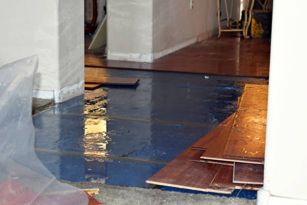 Professional Water Damage technician working in Unity, ME