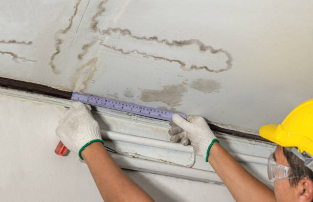 Reliable Water Damage contractor in Unity, ME by Water Damage Irwin